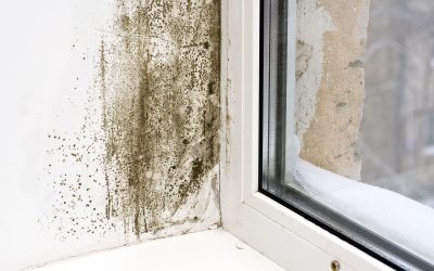 5 Tips to Prevent Mold in the Home