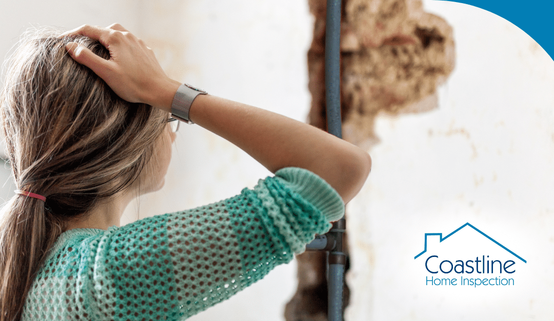 Why You Should Consider Replacing Polybutylene Pipes In Your Home