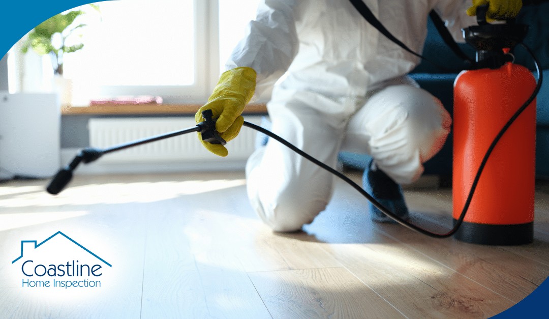 Valentine’s Pest Protection: How Often To Treat Your Home