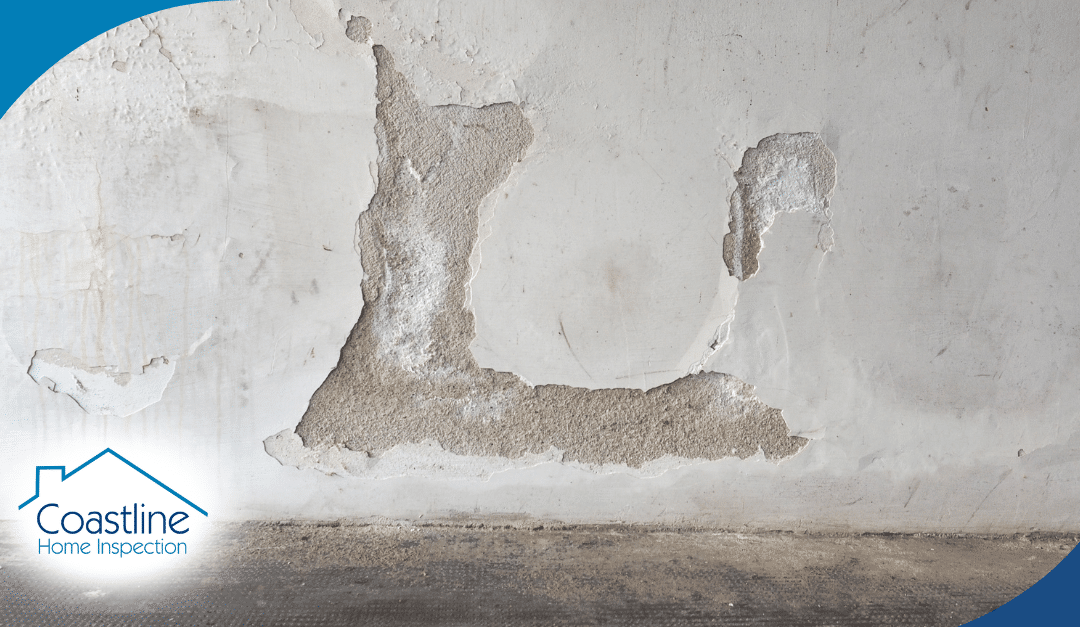 Moisture Issues? Know The Signs And Solutions