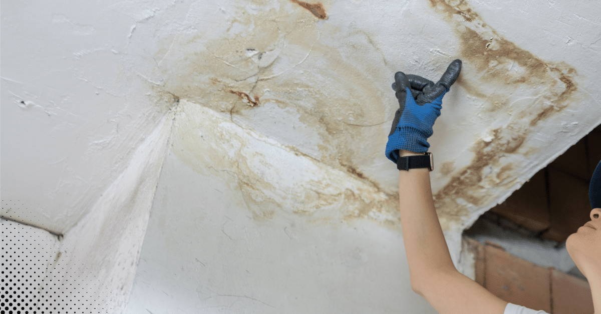 Person pointing at water damage and mold on a ceiling, wearing blue gloves.
