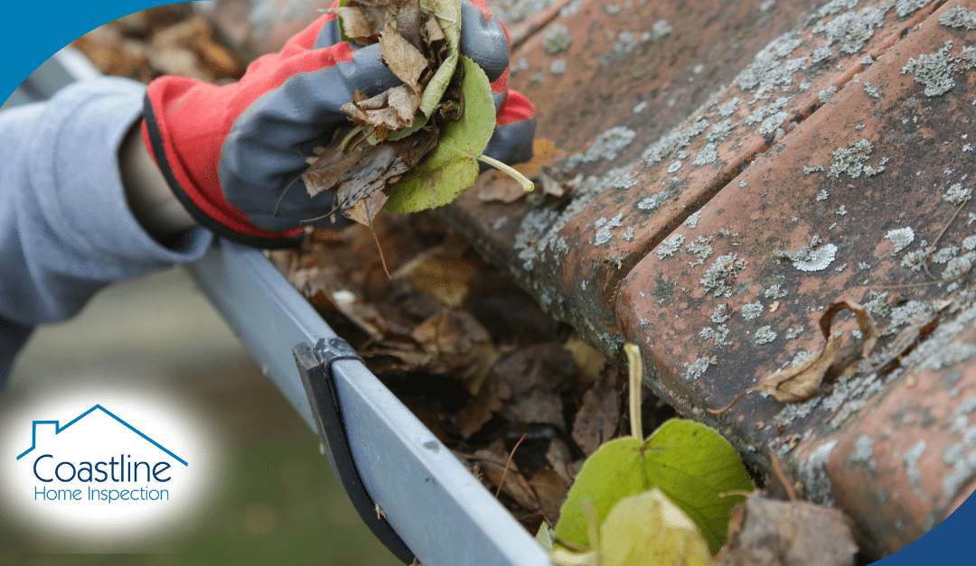 Person wearing gloves cleaning leaves from a gutter, with Coastline Home Inspection logo in the corner, emphasizing home maintenance for hurricane readiness in Florida.