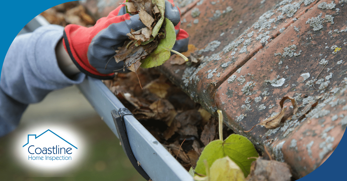 Person cleaning leaves from a roof gutter, showcasing the importance of roof maintenance for hurricane preparedness, with Coastline Home Inspection logo visible.